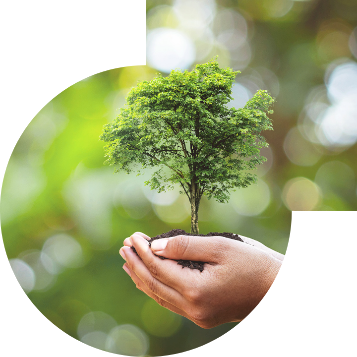 关怀人类、文化、环境与社会